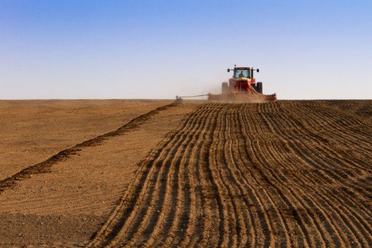 Monsanto Terminator Seed, Monsanto GMO seed, Monsanto soybeans, GMO seeds, GMO patents, Monsanto Supreme Court, Terminator seed technology, terminator technology, GMO terminator seed, Vernon Hugh Bowman, Soybean farming, Indiana farmer, GMO legislation