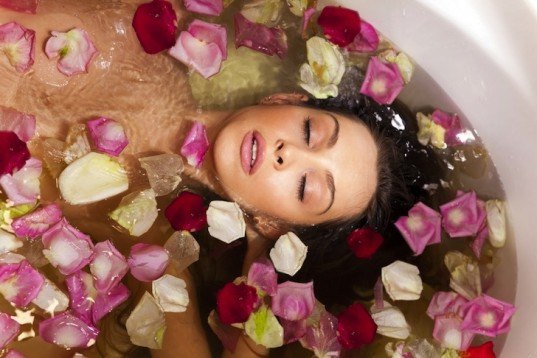 valentine's day, environmental impact, flowers, roses, crops, CO2, carbon dioxide, red roses, carbon impact roses, environmental impact roses, carbon footprint, flowers,