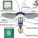 robobees, biomimicry, robot bees, harvard, northeastern university, bees, bee loss, robert wood, robot swarm, miniature robots,
