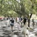 green design, eco design, sustainable design, West 8, Masterplan China, Flower City China, Guangzhou Huadi Fangcun, sustainable city China