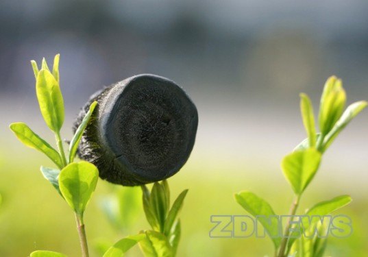 Graphene Aerogel, aerographite, Zhejiang University, world's lightest material, graphene oxide, carbon, nanocarbon, world's lightest substance,