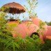 Thai Dome Home by Steve Areen Dome House, Thailand, organic mango farm, sustainable building, terracotta dome house, tropical fauna, green design, sustainable design, eco-design, locally-sourced materials, daylighting, natural ventilation, Steve Areen