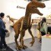 d-torso, t-rex, 3d, cardboard, icff, aki co