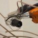 mataerial, anti-gravity modeling, space, 3d printer, polymer, Petr Novikov, Saša Jokić
