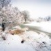 Polar Vortex, East Coast, Midwest, Deep Freeze, Extreme Freezing, Cold Weather Fronts, New York, John Holdren, Global Warming, Climate Change, Snow Storms, Extreme Weather Patterns,