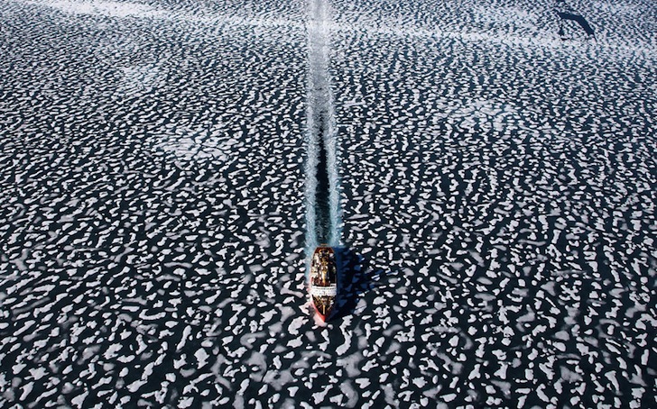 earth day, Yann Arthus-Bertrand, aerial photography, aerial photographs, Yann Arthus-Bertrand photography, earth day photography, landscapes, climate change, new caledonia, heart voh, mangrove swamps, aerial imagery, Yann Arthus-Betrand aerial photography,