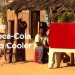 Coca cola cooler, coca cola marketing, coca cola Bio Cooler, coca cola green cooler, plant powered cooler, bio cooler, evaporation cooler, cooling without electricity, cooler without electricity, green coolers, green refrigeration, green cooling