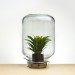 pikaplant, pikaplant jar, reader submitted content, zero maintenance plant, self sustaining biotope, biotope, tabletop plant, natural water system, water recycling, plants, botanical