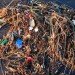 Pacific Garbage Patch, Great Pacific Garbage Patch, Boyan Slat, Plastic Islands, Ocean Plastic, Plastic Waste, Captain Charles Moore, Ocean debris, Japan tsunami