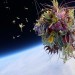 space photography, Go Pro cameras, bonsai tree, objects in space, floral arrangements, space travel, space launch