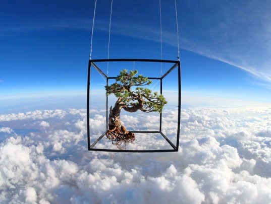 space photography, Go Pro cameras, bonsai tree, objects in space, floral arrangements, space travel, space launch, bonsai in space, exobiotanica, Azuma Makoto, space art, art in space, astral arrangements, photos of bonsai in space