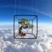 space photography, Go Pro cameras, bonsai tree, objects in space, floral arrangements, space travel, space launch, bonsai in space, exobiotanica, Azuma Makoto, space art, art in space, astral arrangements, photos of bonsai in space
