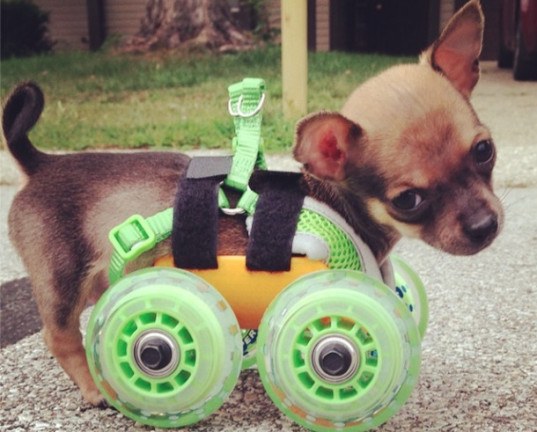 green design, eco design, sustainable design, 3d printed prosthetics, TurboRoo, Makerbot 3d