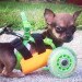 3dyn, Mark Deadrick, green design, eco design, sustainable design, 3d printed prosthetics, TurboRoo, Makerbot 3d