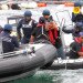 Taiji, Taiji Cove, Japan, Japanese dolphin slaughter, whales, The Cove, Sea Shepherd, Save Japan Dolphins, whaling, dolphin slaughter, aquariums, dolphin shows, Seaworld, dolphin capture, dolphin drive hunting