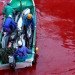 Taiji, Taiji Cove, Japan, Japanese dolphin slaughter, whales, The Cove, Sea Shepherd, Save Japan Dolphins, whaling, dolphin slaughter, aquariums, dolphin shows, Seaworld, dolphin capture, dolphin drive hunting
