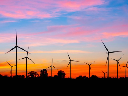 wind turbines, wind turbine birds, wind turbine bird deaths, wind power, wind power birds, wind power impacts birds, wind power bird deaths, US bird deaths, Climate change bird deaths, climate change bird threats, renewable energy, renewable energy impact on birds, renewable energy wildlife, wind turbine wildlife, wind power wildlife, wind turbine studies, wind power studies