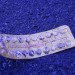 male contraceptive pill, contraception, male birth control, birth control, justicia gendarussa, male birth control pill, contraceptive pill