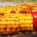 green design, eco design, sustainable design, vegan recipes, vegan bbq, vegetarian bbq, chili lime tofu, grilled mushrooms, teriyaki eggplant, elote, grilled corn, grilled artichokes, tofu kebabs
