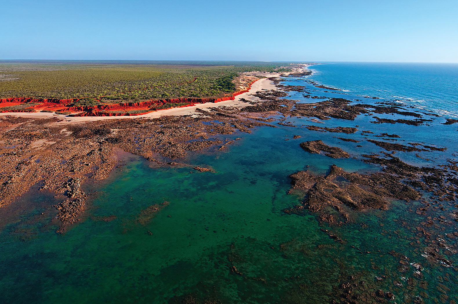 Australia, Western Australia, Dampier Peninsula, Australia's Jurassic Park, Jurassic Park, University of Queensland, James Cook University, dinosaur, dinosaurs, dinosaur track, dinosaur tracks, dinosaur footprint, dinosaur footprints, sauropod, sauropods, stegosaurus, Goolarabooloo, Goolarabooloo people, N. Gaunt