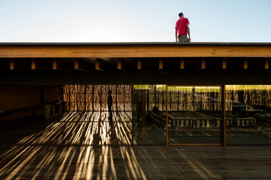 person standing on a green roof