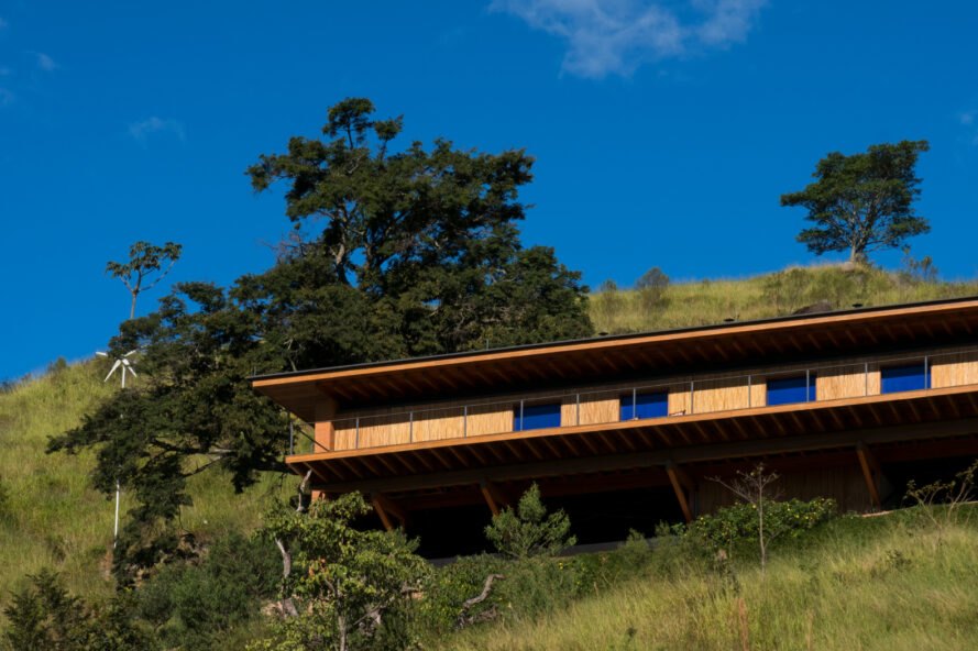 long wood home surrounded by greenery