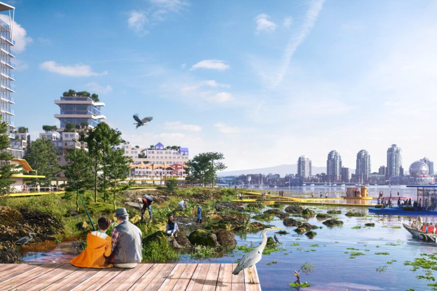 Edge of boardwalk facing the edge of a biodiverse coastline with high rise buildings in the background