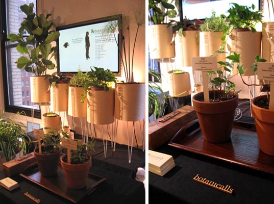 Botanicalls, plant watering system, automatic plant watering, interactive plants, interactive botanicals, ITP School, NYU Interactive Telecommunications, Talk to your plants with Botanicalls, phone your plants