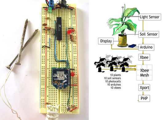 Botanicalls, plant watering system, automatic plant watering, interactive plants, interactive botanicals, ITP School, NYU Interactive Telecommunications, Talk to your plants with Botanicalls, phone your plants