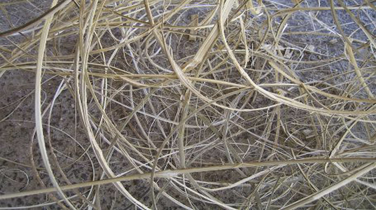 dried palm branches, woven grasses, woven plant products from South East Asia