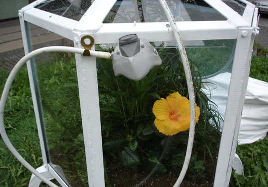 publik denmark hot summer urban farming oxygen greenhouse intervention garden