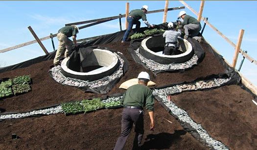 green roof, rana creek, living wall, CABoom, paul kephart, freya bardell, sustainable design, green design, sustainable architecture, green architecture, living roof, green building, natural roofs, sustainable roofs