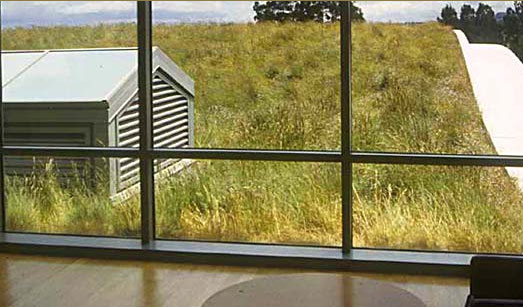 green roof, rana creek, living wall, CABoom, paul kephart, freya bardell, sustainable design, green design, sustainable architecture, green architecture, living roof, green building, natural roofs, sustainable roofs
