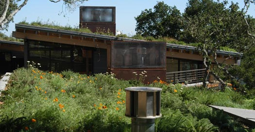 green roof, rana creek, living wall, CABoom, paul kephart, freya bardell, sustainable design, green design, sustainable architecture, green architecture, living roof, green building, natural roofs, sustainable roofs