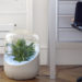 Andrea air clean filter plant eco biomeme