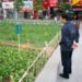 origin of food, local food, food scarcity, urban farm, urban farming, installation, shenzen, china