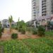 origin of food, local food, food scarcity, urban farm, urban farming, installation, shenzen, china