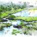 the ecorium project, ecorium project, eden project, national ecological institute, south korea, SAMOO, nature reserve, educational center, open space, greenhouses