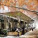 UrbanShed-Sidewalk Cafe