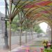 UrbanShed-colorful canopy