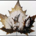 eco-art, leaves, sustainable art, ecycled leaved, engraved leaves