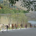 Adrian Smith, Gordon Gill, AS+GG, chicago, chicagoland, decarbonization, plan, strategy, city, energy, water, green, eco, global warming, architecture, skycraper, research, illinois