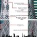 vertical farm, vertical garden, vertical farming, sustainable agriculture, dubai, oasis tower, zabeel park,