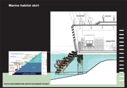 VCEC, Vancouver, architecture, sustainability, green roof, artifical reef, ecosystem, harbor, LMN, Olympics, XXI, winter, broadcasting, renovation, eco design