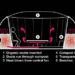 bakoko architects, alistair townsend, kayoko ohtsuki, comploo, japanese tea house, urban spaces, composting, composting heat, alternative heating, organic material