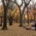 bakoko architects, alistair townsend, kayoko ohtsuki, comploo, japanese tea house, urban spaces, composting, composting heat, alternative heating, organic material