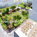 sustainable design, green design, nyc, new york city, brooklyn, citypoint mall, albee mall, public space, city planning, urban development, leed mall, sustainable architecture, cook + fox architects