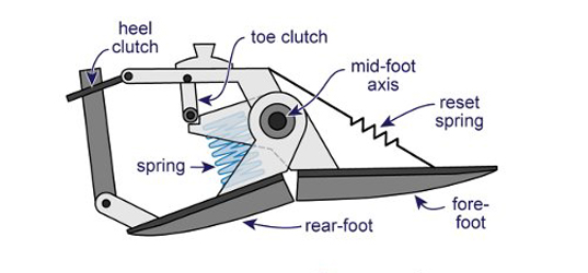 sustainable design, green design, energy generating artificial foot, prosthetics, kinetic energy, renewable energy, design for health, energy efficient prosthetic, university of michigan