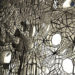 geotube, faulders studio, eco design, green design, green architecture, sustainable design, green building, building that grows its own skin, self-skinning building