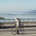 chile, earthquake, chile earthquake, 8.8 earthquake, seismic codes, building codes, infrastructure, design for disaster, haiti earthquake